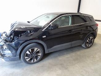 disassembly passenger cars Opel Grandland 1.2 THP 2020/3