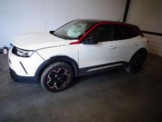 disassembly passenger cars Opel Mokka 1.2 THP 2023/3