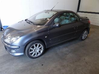 Peugeot 206 CABRIO 1.6 16V picture 2