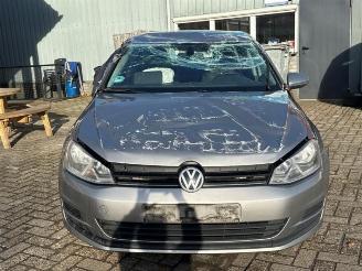 Volkswagen Golf Golf VII (AUA), Hatchback, 2012 / 2021 1.6 TDI 16V picture 2