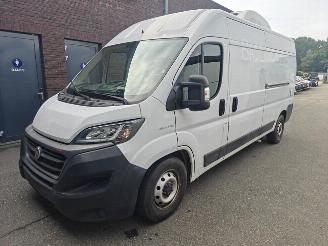 krockskadad bil bedrijf Fiat Ducato 120 L1H1 RS: 3000 mm 2021/6