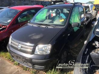 Vrakbiler auto Fiat Panda Panda (169), Hatchback, 2003 / 2013 1.2 Fire 2004/2