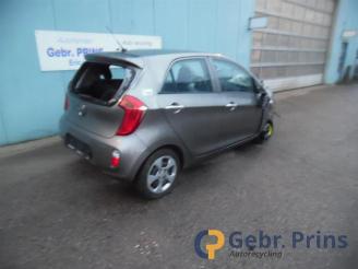 skadebil bedrijf Kia Picanto Picanto (TA), Hatchback, 2011 / 2017 1.2 16V 2011/9