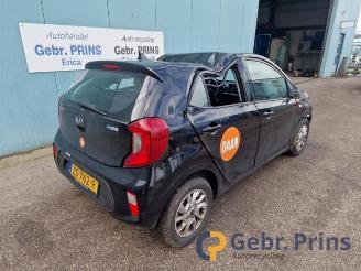 Kia Picanto Picanto (JA), Hatchback, 2017 1.0 12V picture 2