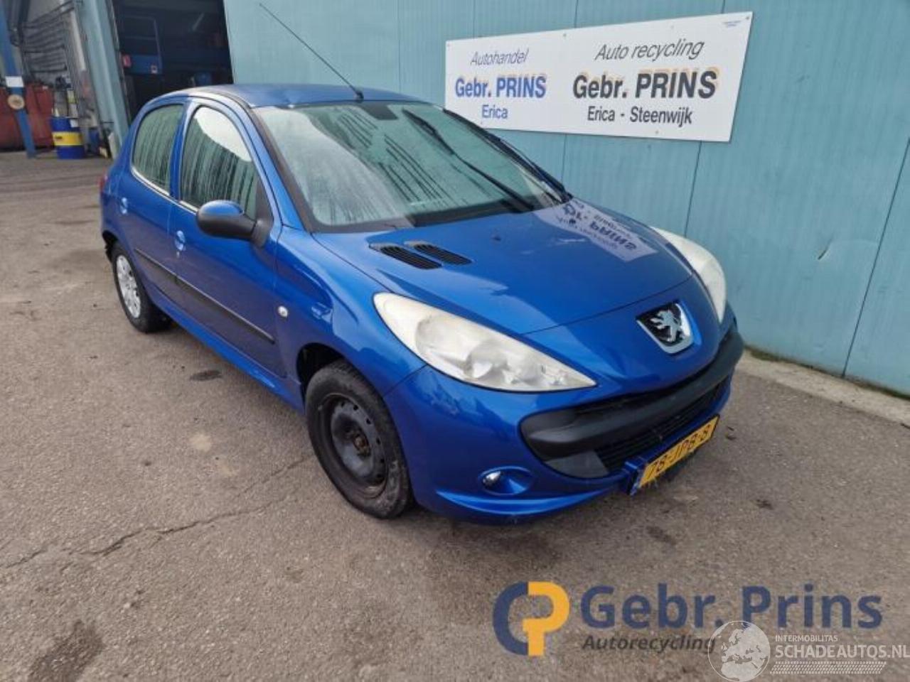 Peugeot 206 206+ (2L/M), Hatchback, 2009 / 2013 1.4 XS