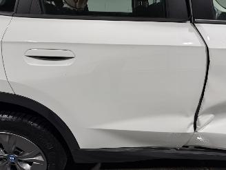 BMW iX1 67kWh 150kW eDrive20 Automaat picture 33