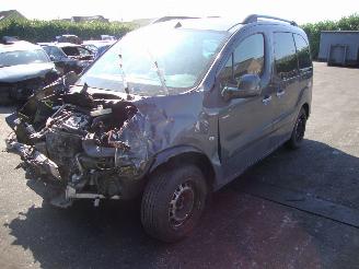 disassembly passenger cars Peugeot Partner Tepee  2017/1