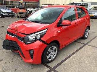 Sloopauto Kia Picanto Picanto (JA), Hatchback, 2017 1.0 12V 2017/7