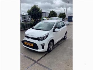 Vrakbiler auto Kia Picanto Picanto (JA), Hatchback, 2017 1.0 DPi 12V 2022/12