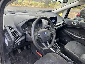 Ford EcoSport 1.0 picture 14