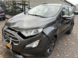 Avarii autoturisme Ford EcoSport 1.0 2019/9