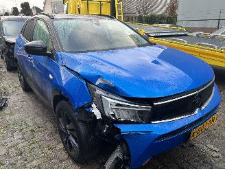 Opel Grandland 1.2 Turbo Level 4 picture 2