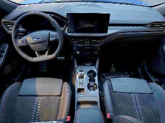Ford Kuga ST-Line X picture 2