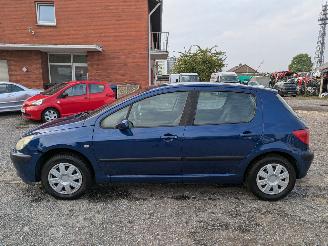 Peugeot 307 1.4 picture 8