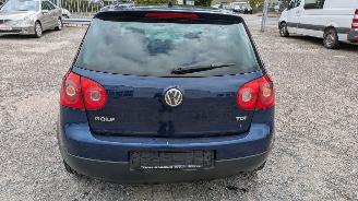 Volkswagen Golf 1.9 TDI picture 6