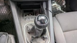 Volkswagen Golf 1.9 TDI picture 15