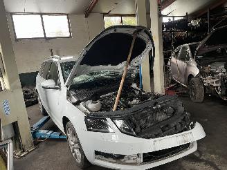 Purkuautot passenger cars Skoda Octavia 1.0 tsi 2019/5