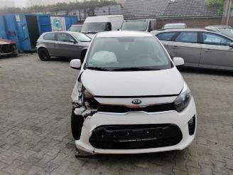 Kia Picanto Picanto (JA), Hatchback, 2017 1.0 12V picture 5