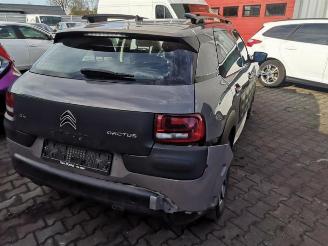 Citroën C4 cactus C4 Cactus (0B/0P), Hatchback 5-drs, 2014 1.6 Blue Hdi 100 picture 6