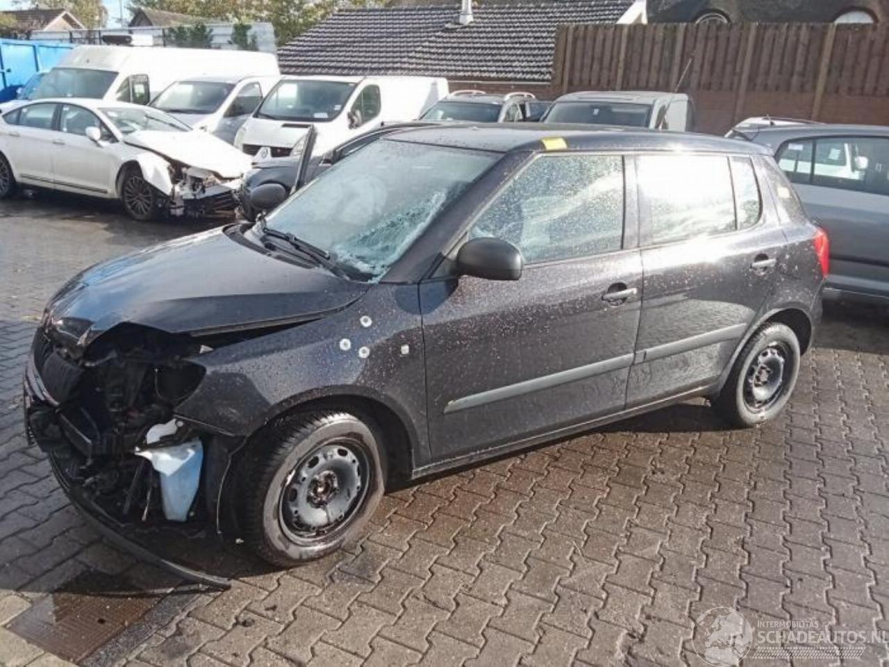 Skoda Fabia Fabia II (5J), Hatchback 5-drs, 2006 / 2014 1.2i