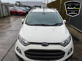 Ford EcoSport EcoSport (JK8), SUV, 2013 1.0 EcoBoost 12V 125 picture 21