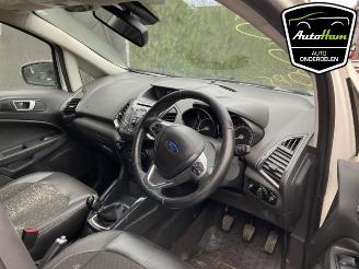 Ford EcoSport  picture 9