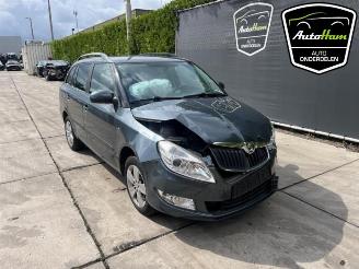 Skoda Fabia Fabia II Combi, Combi 5-drs, 2007 / 2015 1.2 TSI picture 2