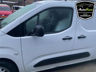 Opel Combo Combo Cargo, Van, 2018 1.5 CDTI 130 picture 8