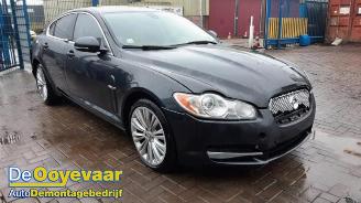 Jaguar XF XF (CC9), Sedan, 2008 / 2015 3.0 D V6 24V picture 6