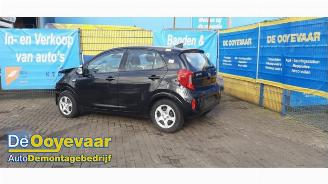 Salvage car Kia Picanto Picanto (JA), Hatchback, 2017 1.0 12V 2020/3