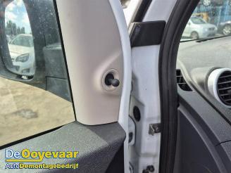 Renault Kangoo Kangoo Express (FW), Van, 2008 1.5 dCi 75 picture 23