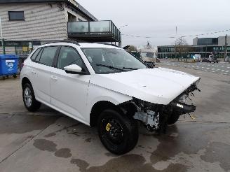 Vaurioauto  passenger cars Skoda Kamiq  2024/12