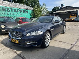  Jaguar XJ 5.0 V8 PREMIUM LUXURY 2010/7