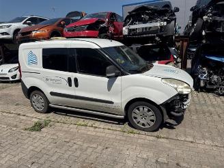 Fiat Doblo Doblo Cargo (263), Van, 2010 1.4 T-Jet 16V Natural Power picture 1