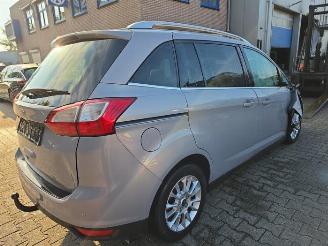Ford Grand C-Max Grand C-Max (DXA), MPV, 2010 / 2019 2.0 TDCi 16V picture 7