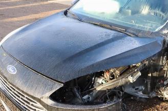 Ford Kuga Kuga III (DFK), SUV, 2019 2.5 PHEV 16V picture 29