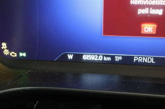 Ford Kuga Kuga III (DFK), SUV, 2019 2.5 PHEV 16V picture 14