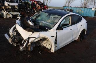 rozbiórka samochody osobowe Tesla Model Y Model Y (5YJY), SUV, 2019 RWD 2024/3