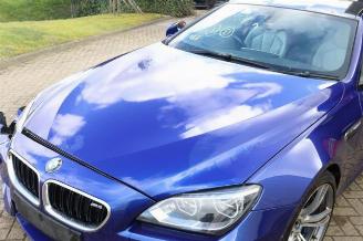 BMW M6 M6 (F13), Coupe, 2012 / 2017 4.4 V8 32V TwinPower Turbo picture 33