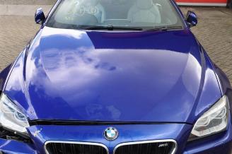 BMW M6 M6 (F13), Coupe, 2012 / 2017 4.4 V8 32V TwinPower Turbo picture 32