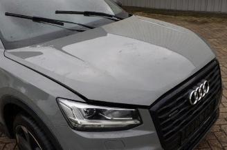 Audi Q2 Q2 (GAB/GAG), SUV, 2016 2.0 TDI 16V 190 Quattro picture 11
