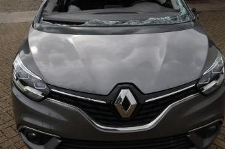 Renault Grand-scenic Grand Scenic IV (RFAR), MPV, 2016 / 2023 1.3 TCE 140 16V picture 28