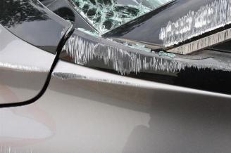 Renault Grand-scenic Grand Scenic IV (RFAR), MPV, 2016 / 2023 1.3 TCE 140 16V picture 32