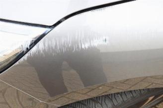 Renault Grand-scenic Grand Scenic IV (RFAR), MPV, 2016 / 2023 1.3 TCE 140 16V picture 31