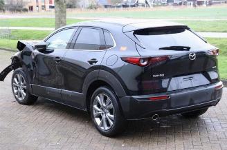 Mazda CX-30 CX-30 (DM), SUV, 2019 2.0 e-SkyActiv-G 122 16V picture 5