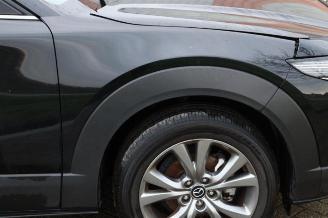 Mazda CX-30 CX-30 (DM), SUV, 2019 2.0 e-SkyActiv-G 122 16V picture 23