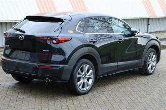 Mazda CX-30 CX-30 (DM), SUV, 2019 2.0 e-SkyActiv-G 122 16V picture 3