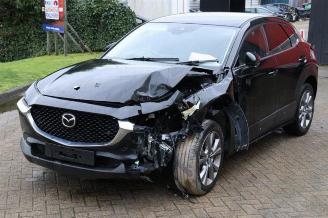 Mazda CX-30 CX-30 (DM), SUV, 2019 2.0 e-SkyActiv-G 122 16V picture 7