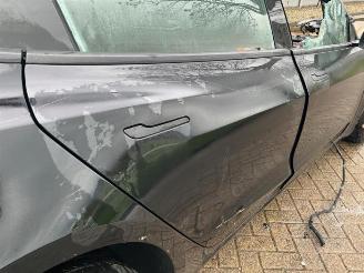 Tesla Model 3 Model 3, Sedan, 2017 Standard RWD Plus picture 14