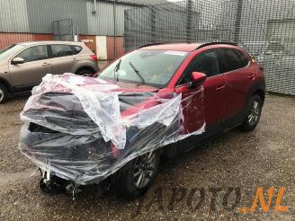 Mazda CX-30 CX-30 (DM), SUV, 2019 1.8 Skyactiv D 116 16V picture 6